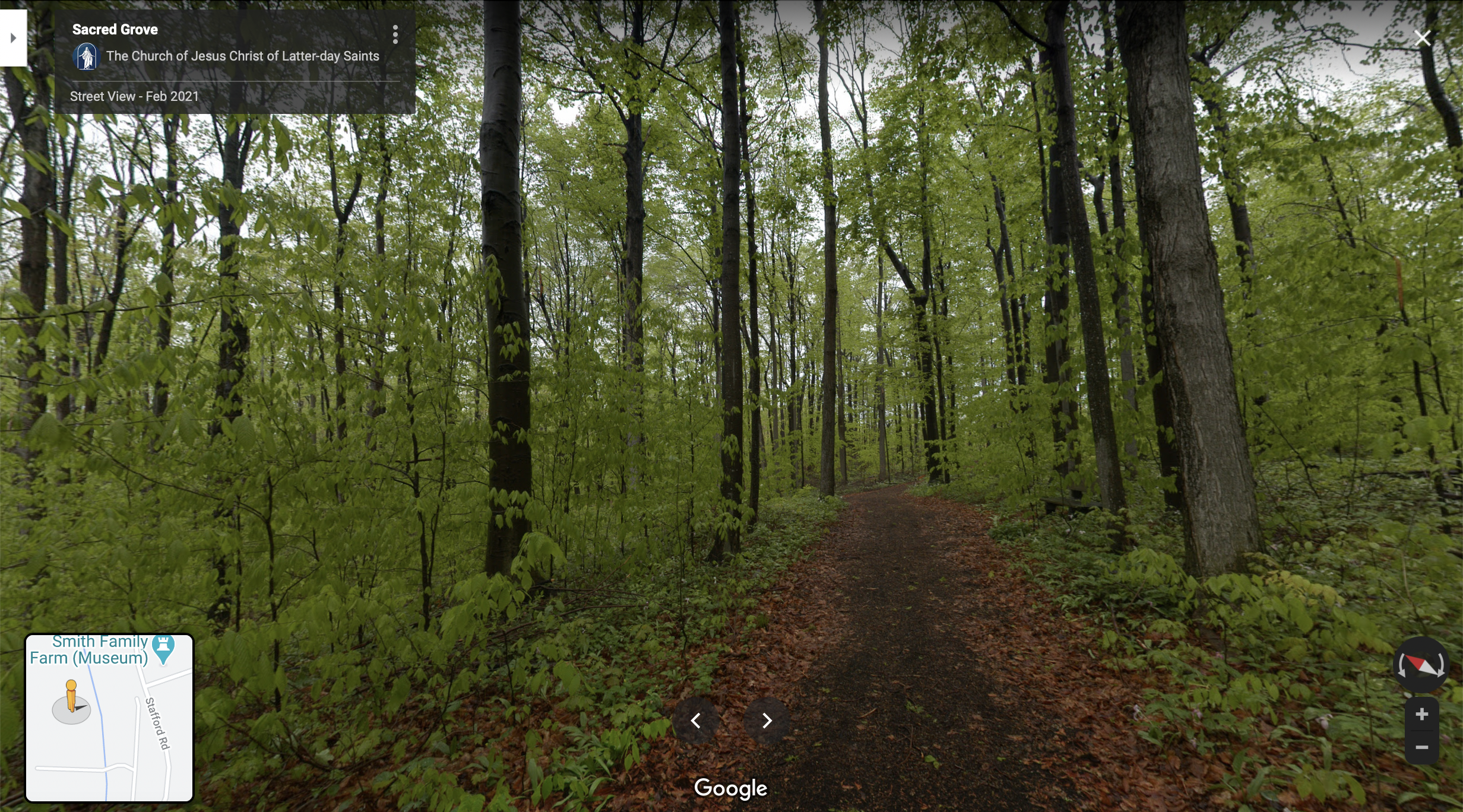 Screenshot of the Google Maps 360 view of the Sacred Grove